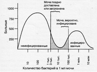 Оценка мочи. Часть 3