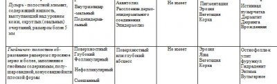 Первичные морфологические элементы