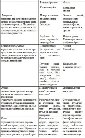 Вторичные морфологические элементы