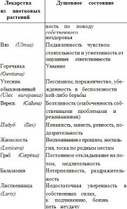 Лекарственные препараты из цветков растений доктора Бэчема