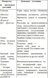 Лекарственные препараты из цветков растений доктора Бэчема