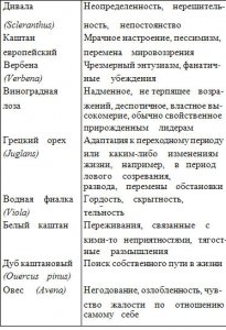 Лекарственные препараты из цветков растений доктора Бэчема