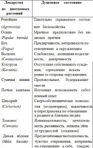 Лекарственные препараты из цветков растений доктора Бэчема