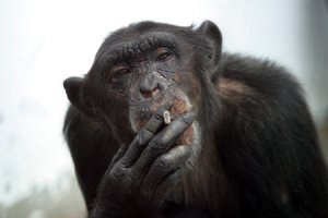 Правши и левши: почему мы такие разные