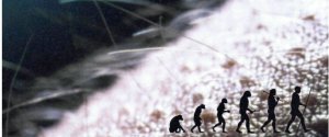 Почему человек стал голой обезьяной?