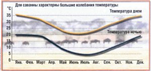 Почему человек стал голой обезьяной?